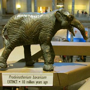 Prodeinotherium Bronze Sculpture