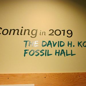 David H. Koch Hall of Fossils Sign