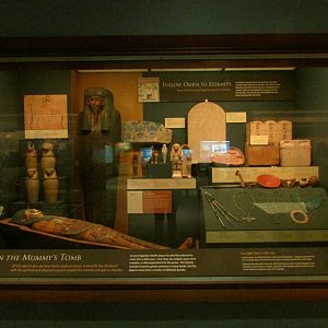 In the Mummy's Tomb