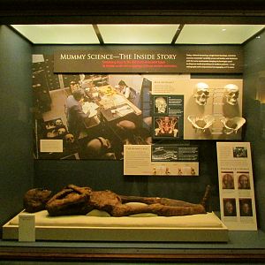 Mummy Science - The Inside Story