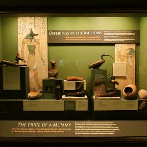 The Price Of A Mummy