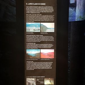 Lake Como exhibit