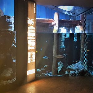 Italy Lake Como exhibit