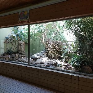 South America aviary