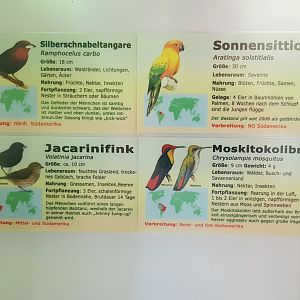 South America aviary
