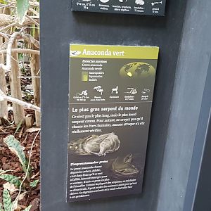 South American river vivarium