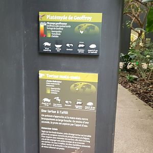 South American river vivarium