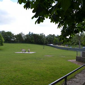 Exhibit for Przewalski's horse in Givskud Zoo