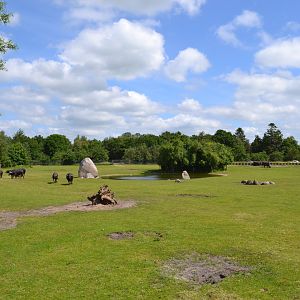 Rhino-savannah in Givskud Zoo