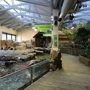 Penguin Exhibit - Upper Level