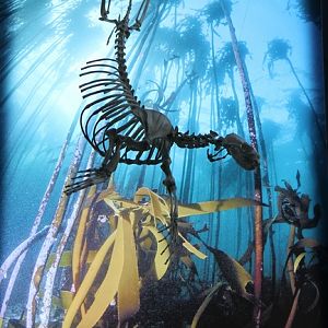 like a church glass window