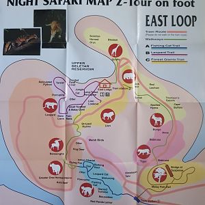 Night Safari walking trails map (1997)