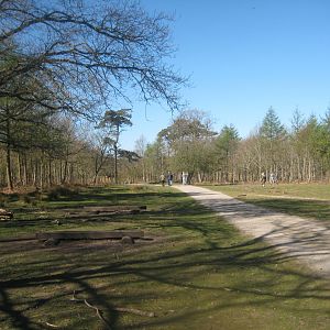 Esbjerg Dyrehave - General view