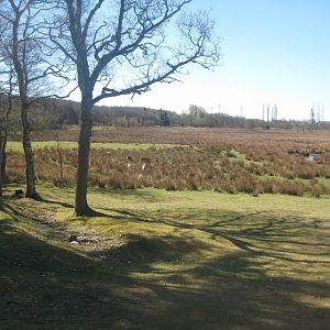 Esbjerg Dyrehave - General view