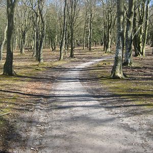 Esbjerg Dyrehave - General view