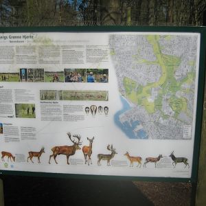 Esbjerg Dyrehave - Signage