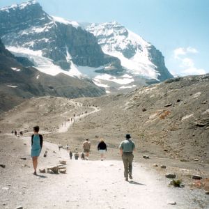 Athabasca Glacier moraine, July 2001