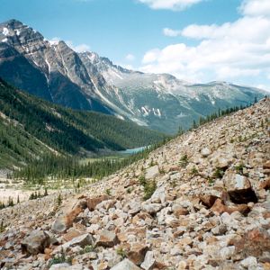 Cavell Lake, Canadian Rockies, July 2001