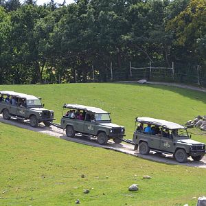 Land Rover safari in Ree Park