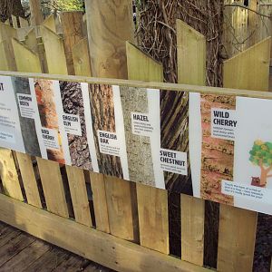 View of tree signage 03/01/2020