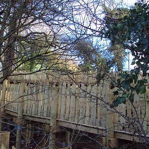 View of path 03/01/2020