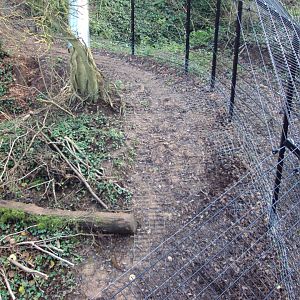 View of anti dig barrier round the edge of the enclosures 03/01/2020