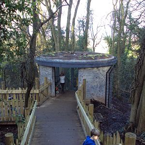 View of Bear and Wolf viewing shelter 03/01/2020