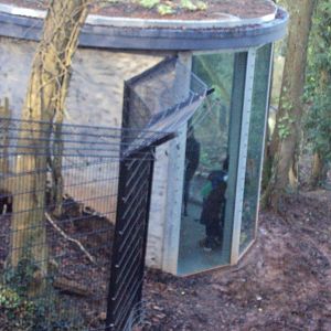 View of Bear and Wolf viewing shelter 03/01/2020