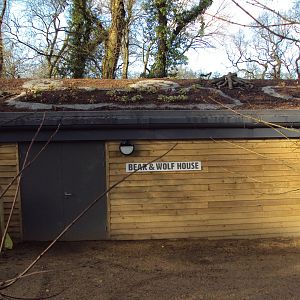 View of Bear and Wolf House 03/01/2020
