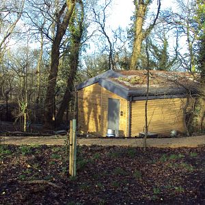 View of Bear and Wolf House 03/01/2020