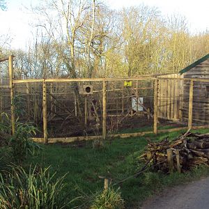 View of new Mongoose Lemur enclosure 03/01/2020