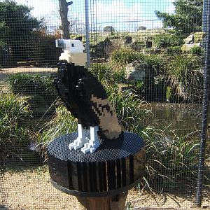 Lego Vulture 24/03/2019