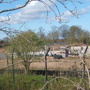 Asian Lion House and enclosure under construction 24/03/2019