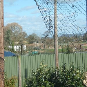 Off show Zoo under construction 24/03/2019