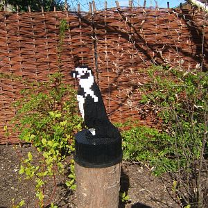 Lego Humboldt's Penguin 24/03/2019