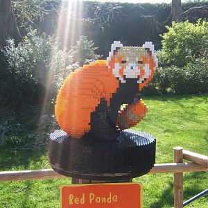 Lego Red Panda 24/03/2019