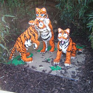 Lego Tiger cubs 24/03/2019