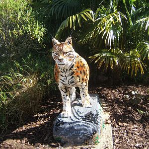 Lego Lynx 24/03/2019