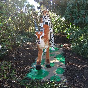 Lego Cheetah 24/03/2019