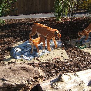 Lego Caracal 24/03/2019