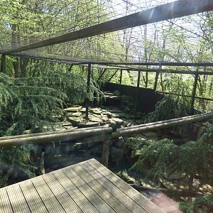 Snow Leopard Enclosure