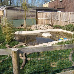 View of part of the Pelican enclosure 13/04/2019