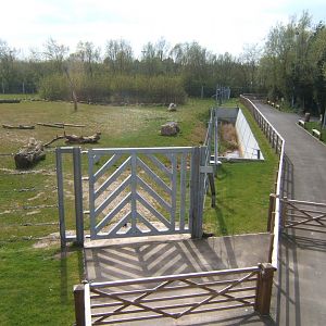 View of Elephant enclosure 14/04/2019