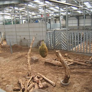 View of Elephant enclosure 14/04/2019