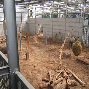 View of Elephant enclosure 14/04/2019