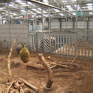 View of Elephant enclosure 14/04/2019