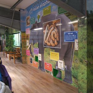 Education display in Elephant House 14/04/2019