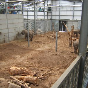 View of Elephant enclosure 14/04/2019