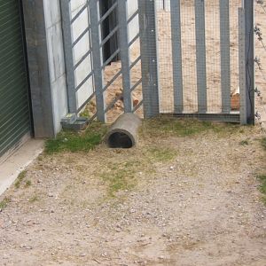View of Elephant enclosure 14/04/2019