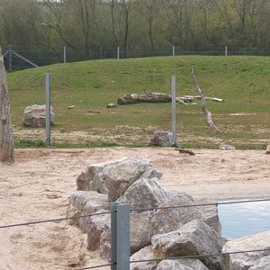 View of Elephant enclosure 14/04/2019